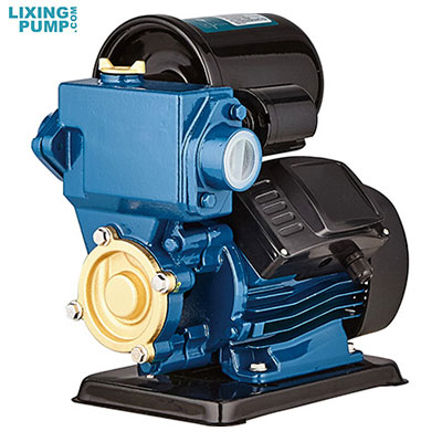 Self priming pump